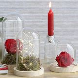 Ideas 4 Seasons Decoratie stolp - glas - houten plateau - D10 x H20 cm