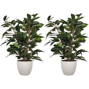 2x stuks groene ficus kunstplant 40 cm met plantenpot taupe D13.5 en H12.5 cm