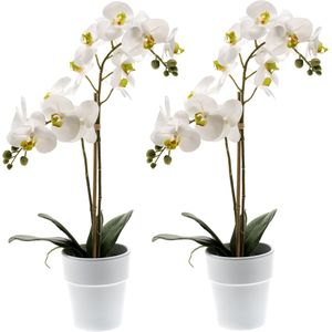 Set van 2x stuks witte orchidee kunstplanten in kunststof pot 65 cm - Orchidaceae - Woondecoratie/accessoires - Kunstplanten - Nepplanten - Orchidee planten in pot