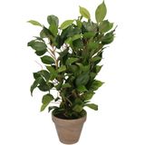 Groene ficus kunstplant 40 cm met plantenpot zilver metallic D13.5 en H12.5 cm