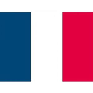 20x Binnen en buiten stickers Frankrijk - Franse vlag stickers - Supporter feestartikelen - Landen decoratie en versieringen