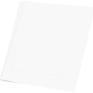 8x stuks wit hobby kartonnen vellen 48 x 68 cm - knutselen materialen van dik papier