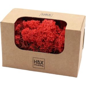 HBX Natural Living Decoratie mos - 2x - rood - 100 gram - rendiermos - hobby