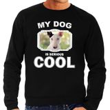 Bullterrier honden trui / sweater my dog is serious cool zwart - heren - Bullterriers liefhebber cadeau sweaters