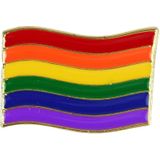 5x Regenboog gay pride kleuren metalen pin/broche/badge 4 cm - Regenboogvlag LHBT accessoires