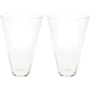 Set van 2x stuks transparante home-basics Conische vaas/vazen van glas 30 x 19 cm - Bloemen/takken vaas voor binnen gebruik