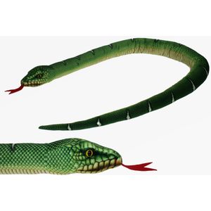 Pluche Knuffel Dieren Groene Boom Python Slang van 150 cm - Speelgoed Slangen Knuffels