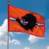 Ek oranje straat/ huis versiering pakket met oa 2x Mega Holland vlag, 300 meter oranje vlaggenlijnen - Oranje versiering buiten
