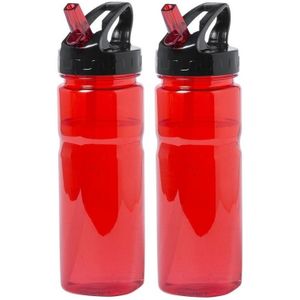 2x Rode drinkfles/waterfles met schroefdop 650 ml - Sportfles - BPA-vrij