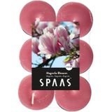 Candles by Spaas geurkaarsen - 36x stuks in 3 geuren - Wild Orchid - Appel-Cinnamon - Magnolia Blossom