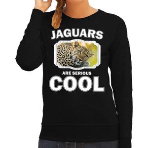 Dieren jaguars/ luipaarden sweater zwart dames - jaguars are serious cool trui - cadeau sweater luipaard/ jaguars/ luipaarden liefhebber