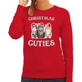 Kitten Kerstsweater / kersttrui Christmas cuties rood voor dames - Kerstkleding / Christmas outfit