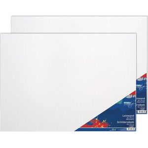 2x Canvas schildersdoeken 50 x 70 cm voor hobby verf schilderen - hobby materialen artikelen