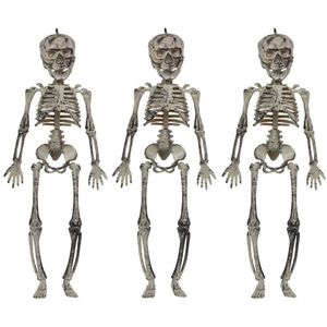 Halloween/horror thema hang decoraties - 3x - skeletten - in vergane staat - 30 cm