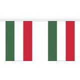 Luxe Hongarije vlaggenlijn 9 m