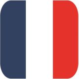 45x Bierviltjes Franse vlag vierkant - Frankrijk feestartikelen - Landen decoratie