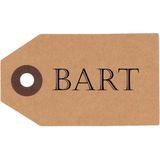 Rayher hobby Cadeau tags/labels - kraftpapier/karton - 60x stuks - aan jute touw - 7.5 x 4.5 cm