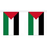 Palestina vlaggenlijn - 9 m - slingers