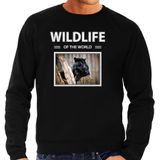 Dieren foto sweater Zwarte panter - zwart - heren - wildlife of the world - cadeau trui Panters liefhebber