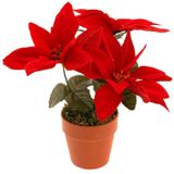 Christmas Decoration Kunstplant - 2x - Kerstster - rood -20 cm - voor binnen