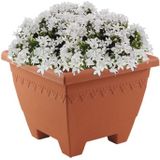 Hega Hoger Plantenbak/bloempot Lima - 2x - terracotta - vierkant - kunststof - 35x35x28 cm - planten pot