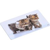 Kitten Print Ontbijtbordjes Set 6x - 14 x 24 cm