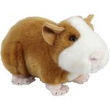 2x stuks pluche Cavia knuffel 18 cm - Cavia huisdieren knuffels - Speelgoed