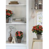 Mica Decorations Kunstplant - Azalea - rode bloemen - 27 cm - in grijze pot
