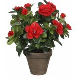 Mica Decorations Kunstplant - Azalea - rode bloemen - 27 cm - in grijze pot