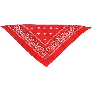 Bristol novelty Boeren/cowboy zakdoek - rood - driehoekig - 78 x 36 cm - sjaal/bandana