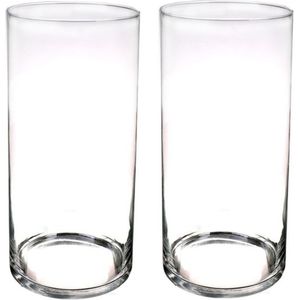 Set van 2x stuks glazen cilinder bloemenvazen 40 x 19 cm - Transparant - Vazen/vaas - Boeketvazen