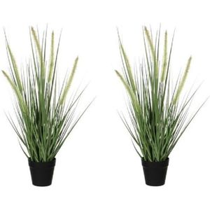 2x Groene Dogtail/siergras kunstplant 53 cm in zwarte pot - Kunstplanten/nepplanten
