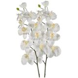 2x Witte kunst Orchidee tak 100 cm - Kunstbloemen