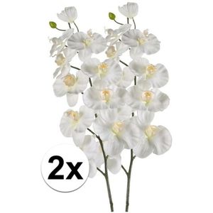 2x Witte kunst Orchidee tak 100 cm - Kunstbloemen