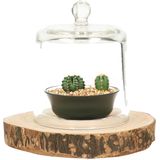 DK Design Decoratie stolp klein - 2x stuks - transparant glas - D13 x H16 cm - cloche stolpen