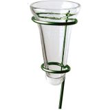 1x Regenmeter/Neerslagmeter Glas met Verzinkte Grondpen Groen 69 cm - Tuinartikelen