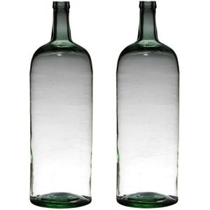 2x stuks transparante luxe stijlvolle flessen vaas/vazen van glas 60 x 19 cm - Bloemen/takken vaas voor binnen gebruik