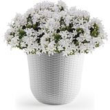 1x Witte plantenbakken/bloempotten 32 cm - Woon/tuinaccessoires/decoratie - Ronde bloempotten/plantenpotten voor binnen/buiten