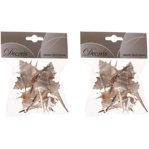 5x zakjes puntige decoratie schelpen Thorn 6 cm - Natuurlijke schelpjes in zakje - Maritiem/strand thema woondecoratie