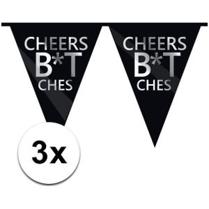 3 x Cheers Bitches vlaggenlijn 10 m