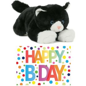 Cadeau Setje Pluche Zwart/Witte Kat/Poes Knuffel 25 cm met Grote A5 Formaat Happy Birthday Wenskaart