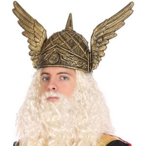 Viking/Noorman carnaval verkleed helm voor heren