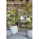 Mica Decorations grote Palm kunstplant - groen - H130 x D125 cm - top kwaliteit