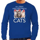 Kitten Kerstsweater / Kerst trui All I want for Christmas is cats blauw voor heren - Kerstkleding / Christmas outfit