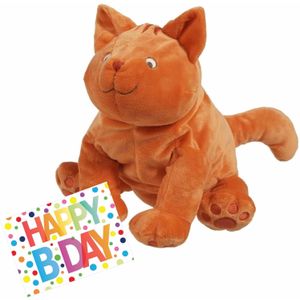 Pluche knuffel Dikkie Dik kat/poes 43 cm met A5-size Happy Birthday wenskaart - Verjaardag cadeau setje
