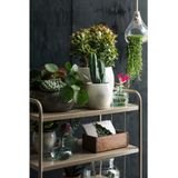 Mica Decorations Bloempot - groen - glanzend - keramiek - 24 x 22 cm - plantenpotten binnen