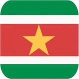 45x Bierviltjes Surinaamse vlag vierkant - Suriname feestartikelen - Landen decoratie