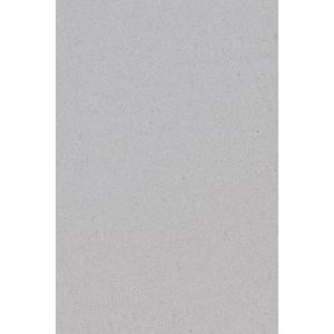 2x Zilveren papieren tafelkleden 137 x 274 cm - Tafeldecoratie