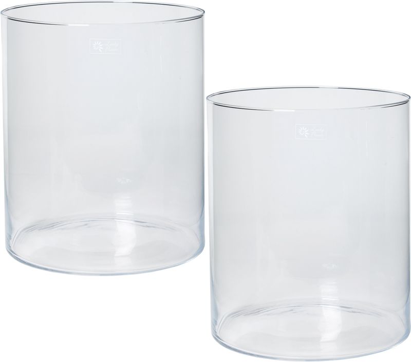 Patriottisch Vermeend Hoogte Set van 2x stuks transparante home-basics Cilinder vaas/vazen van glas 30 x  35 cm - Bloemen/boeketten - binnen gebruik (woonaccessoires) | € 70 bij  Shoppartners.nl | beslist.nl