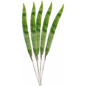 5x stuks kunstplant takken Gladioolblad bladgroen 40 cm